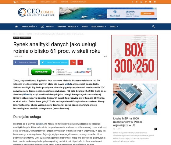 300 x 250 reklama box CEO Magazyn Polska