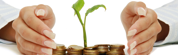 investor