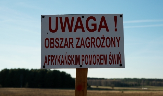 pomor-swin