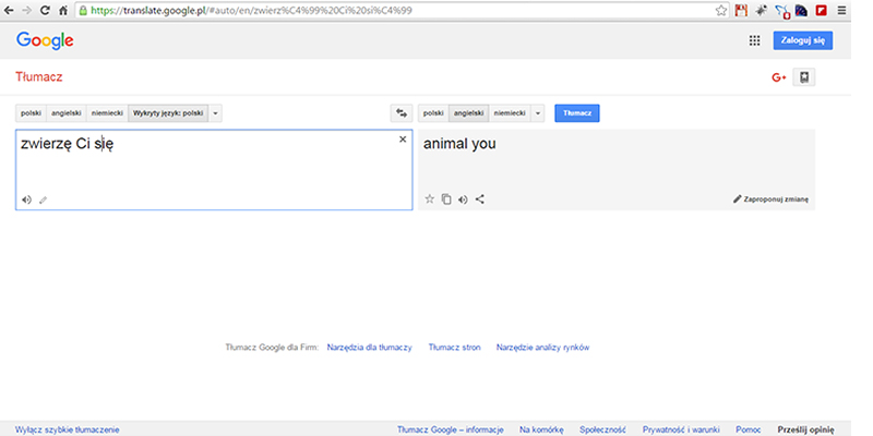 tłumacz Google