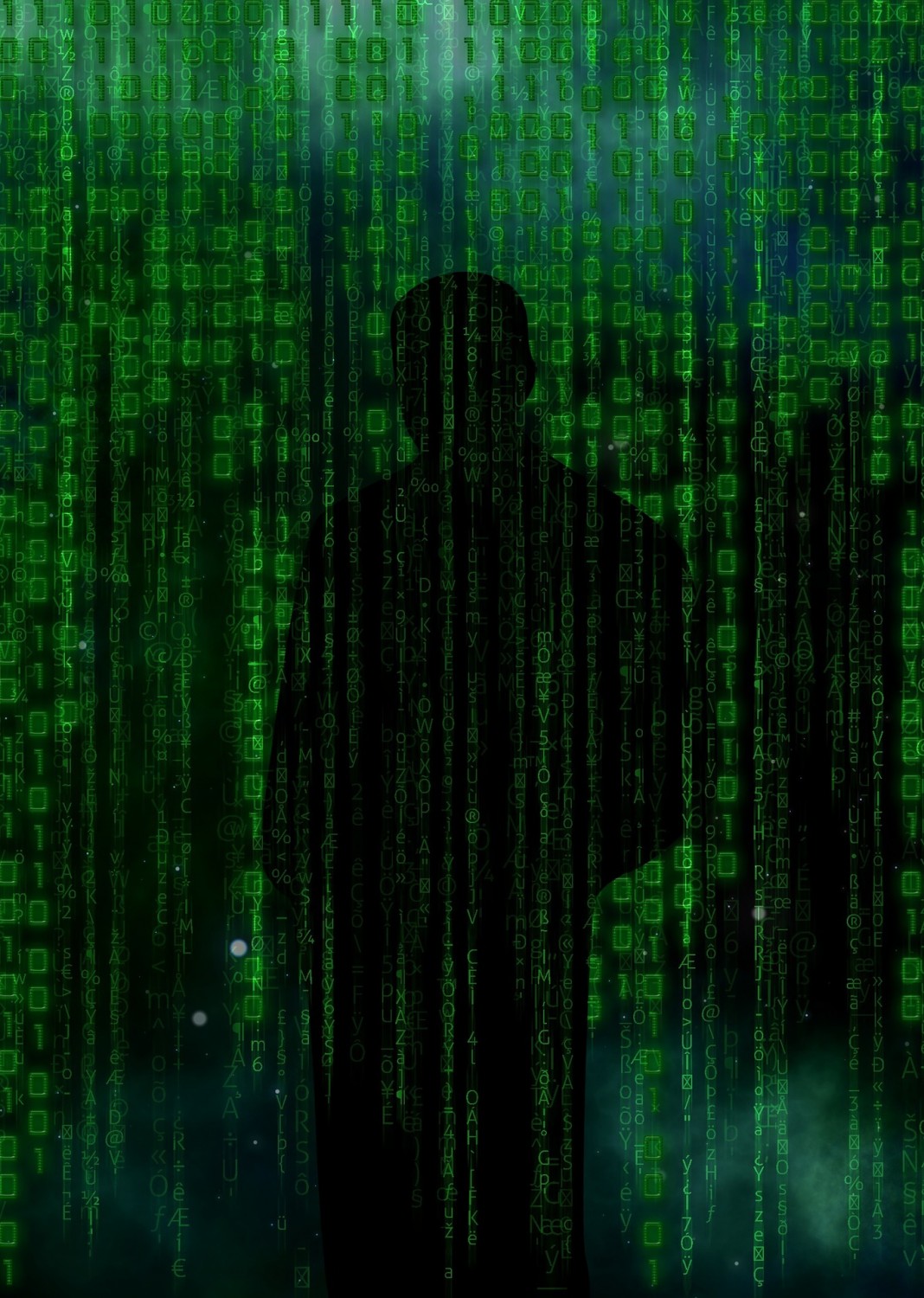 cyber crime