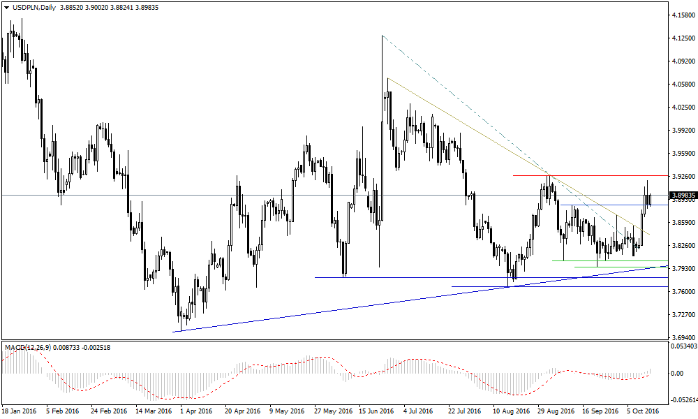 Wykres dzienny USD/PLN