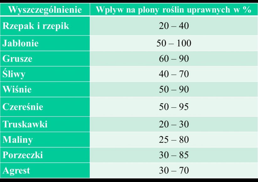 Wpływ owadów zapylających na plony wybranych roślin uprawnych