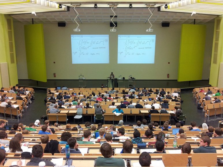 szkoła studia