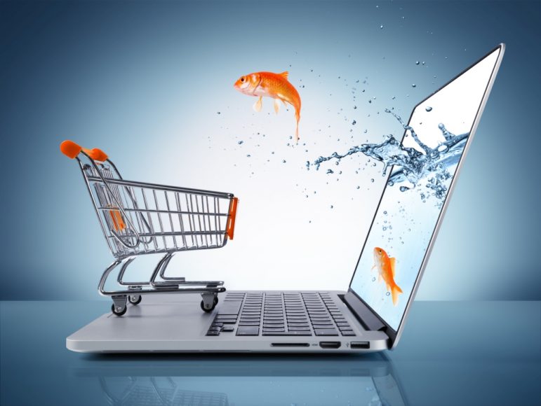 goldfish in cart – e-commerce concept