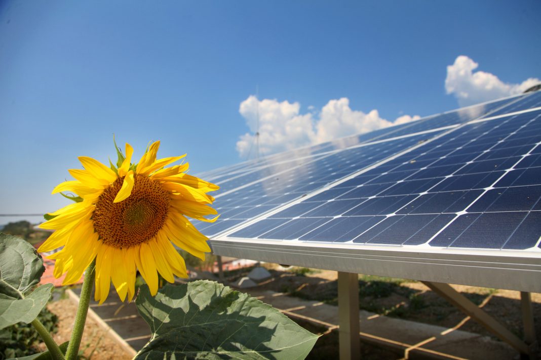 solar panels
