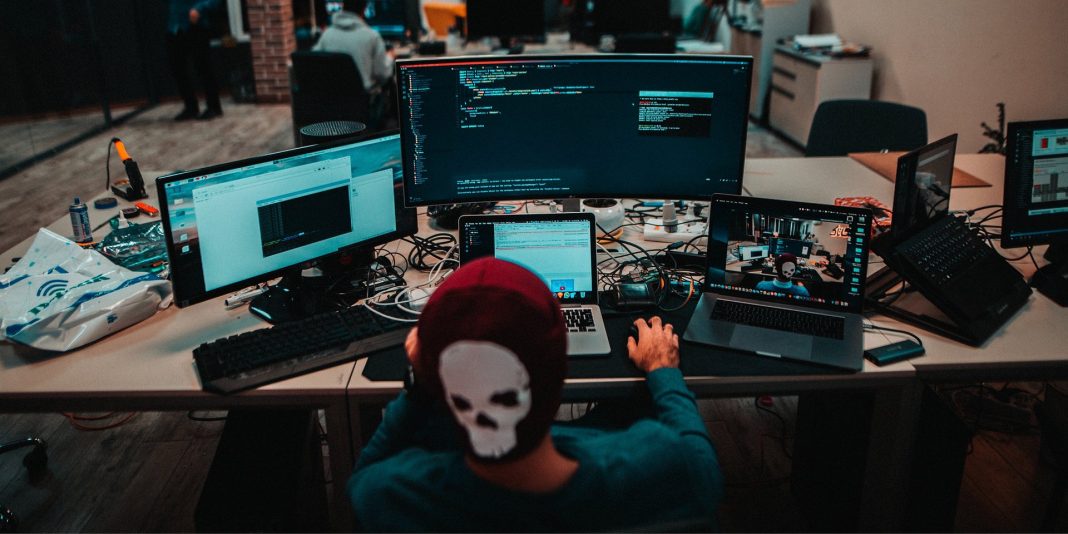 programista internet