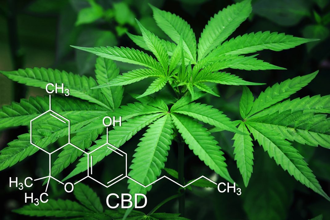 marihuana