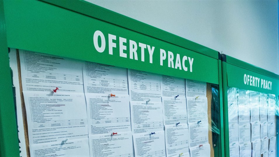 oferty pracy urząd pracy praca