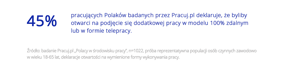 Polacy o różnych formach pracy 3
