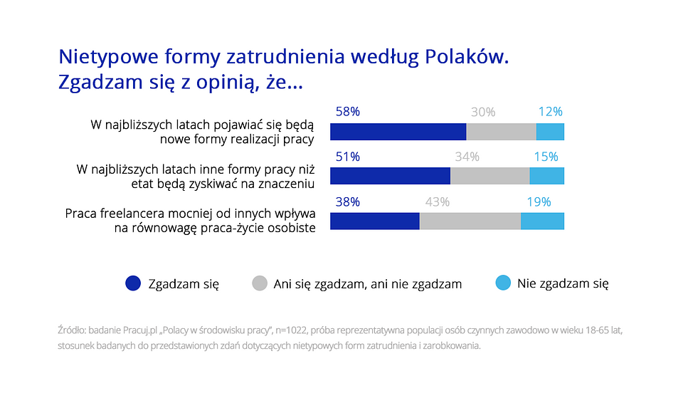 Polacy o różnych formach pracy 5