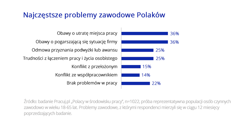 problemy zawodowe polaków