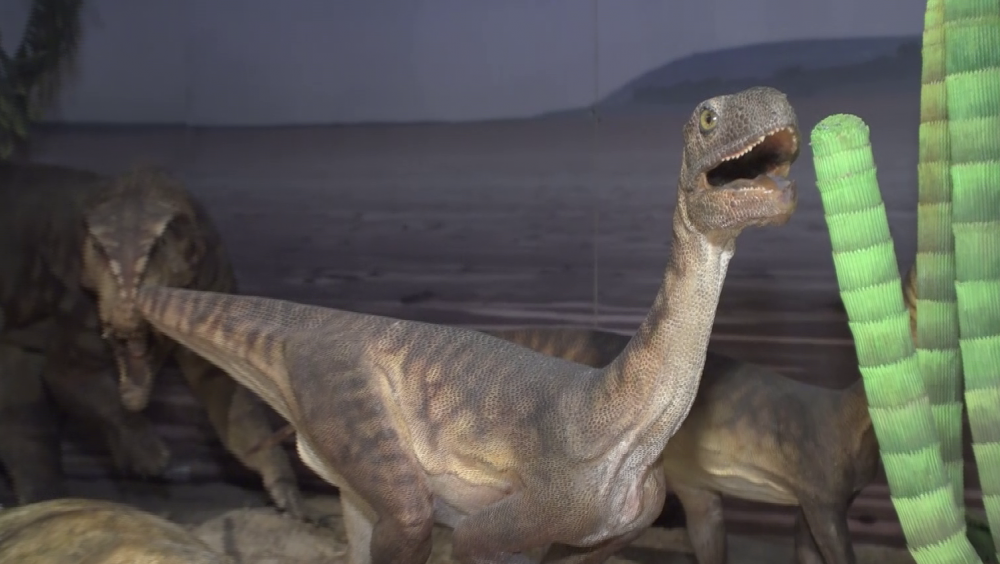 Nowa teoria naukowców z Uniwersytetu Harvarda dotycząca wyginięcia dinozaurów. Za