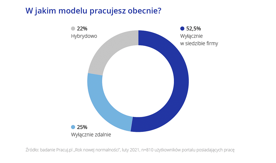 Praca zdalna raport