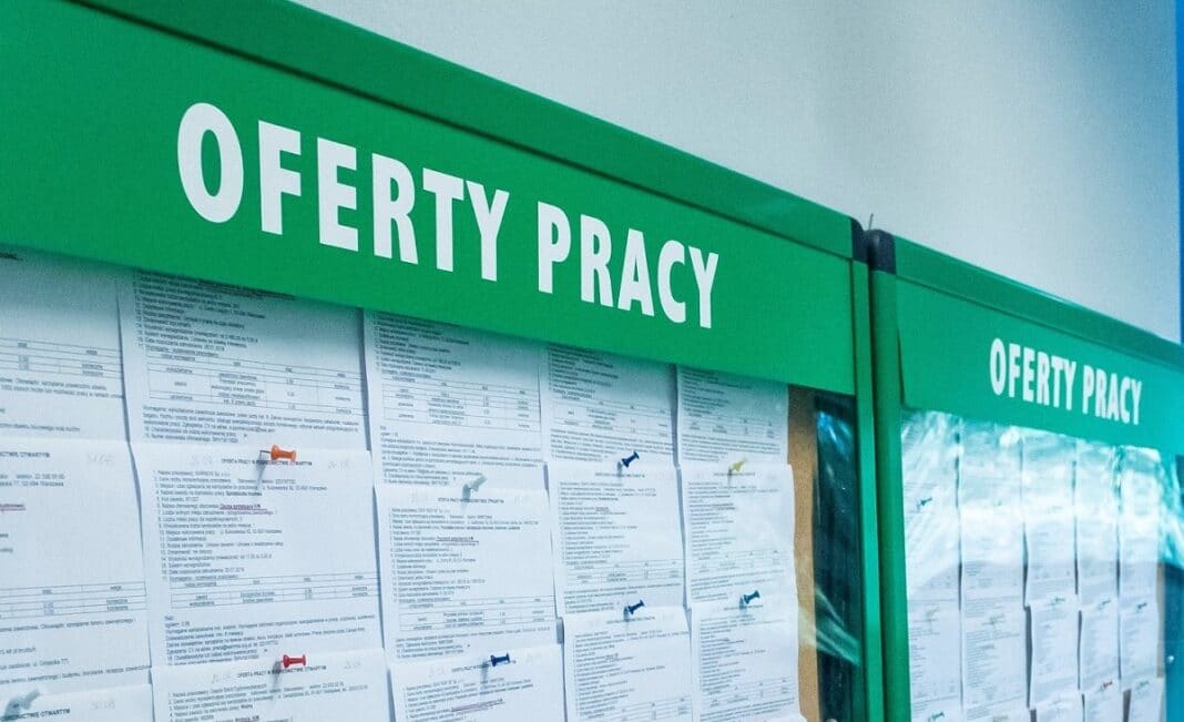 oferty pracy