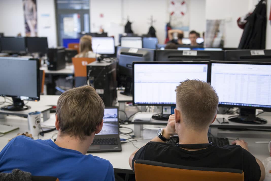 programiści programista