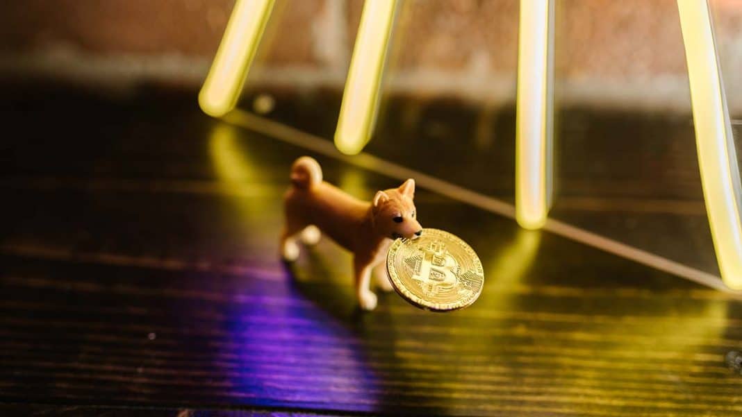 Dogecoin