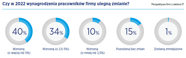 Raport płacowy 2022