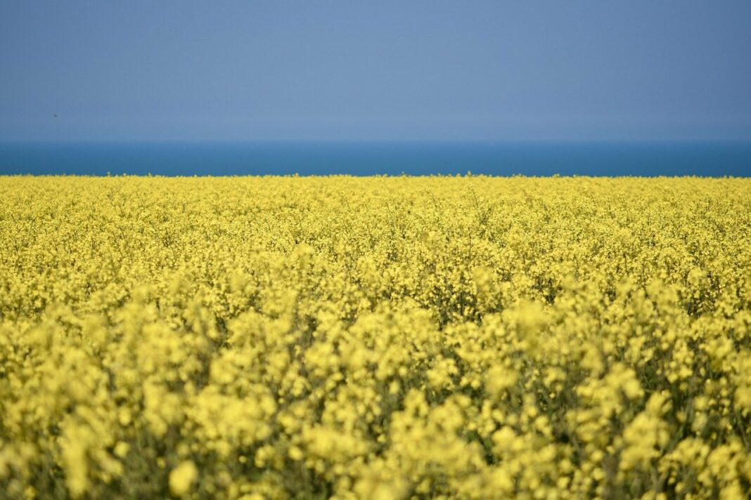 ukraina
