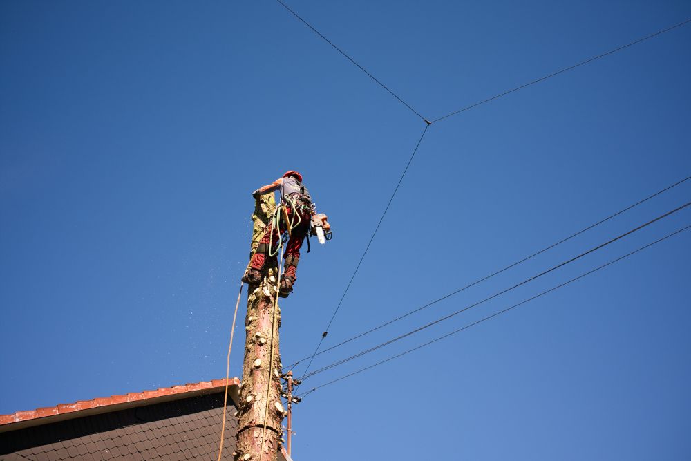 Alpinizm przemysłowy