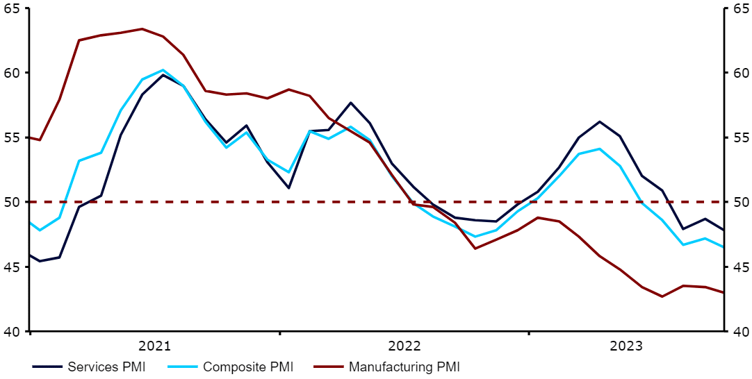 Indeksy PMI dla strefy euro