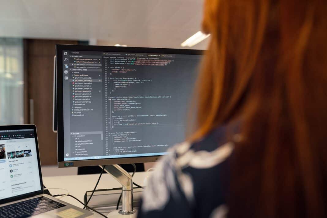 programista
