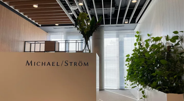 Michael / Ström uruchamia własne TFI